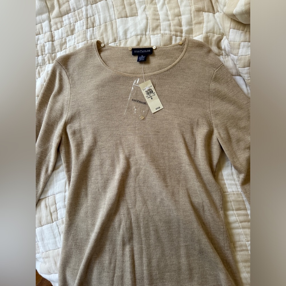 Ann Taylor 100% Italian Merino Wool Beige Sweater